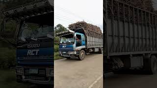 giga isuzu truck#mortex #sugarcane #hauler #sugarcane #negrostruck