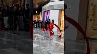 daily vlog - ribbon dance for Lunar new year at Hudson Yards