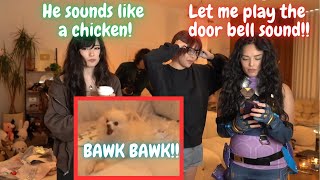 Valkyrae and Miyoung shows Emiru how Nabi Bawk with the door bell sound.