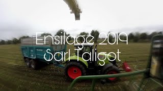 KRONE BIG X 850 12 rangs - ENSILAGE 2019 -   - ETA Taligot -