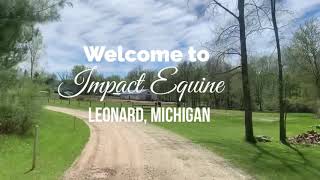 An introduction to Impact Equine