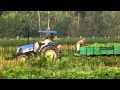 Food City Local Growers Series - Mann Farms