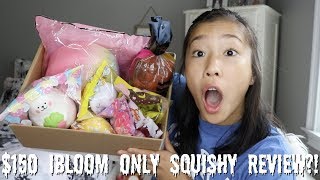 $150 IBLOOM ONLY SQUISHY REVIEW?!