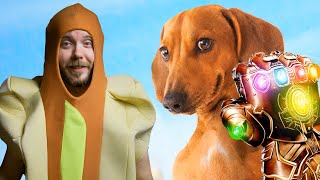 The Wiener Dog Cinematic Universe