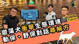 遊蕩犬衝擊生態環境、動保野保對話尋解方｜feat. 清大通識教育中心助理教授 顏士清、台灣之心愛護動物協會專案管理 張毅豪｜公視我們的島podcast影音版@EP.44