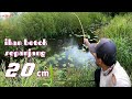 MANCING IKAN BETOK BESAR PANJANG SAMPAI 20 CM