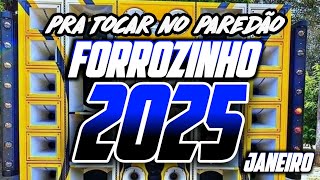 FORROZINHO 2025 REPERTÓRIO ATUALIZADO 2025 CD NOVO 2024 SELEÇÃO 2025 #nordeste #piseiro #forrozin