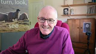 Excess deaths 2025