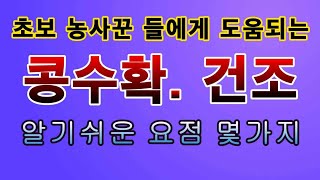 [텃빝농부.810]  초보도 알기쉬운 콩수확 하는 방법 #콩재배