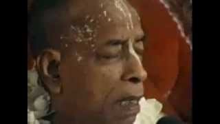 Watch Ecstatic Kirtan by Srila Prabhupada