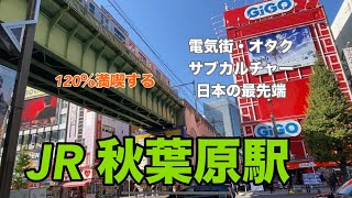 【JR】秋葉原駅　120％満喫する　電気街・オタク・サブカルチャー　日本の最先端