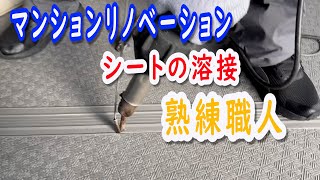 【熟練職人】マンションのシート溶接　#長尺シート    #防水    #マンションリノベーション