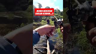 Momen mencekam saat Mancing di atas pohon tumbang😱😱 #fishing #mancing #shortvideo #shorts