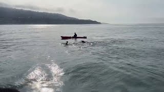 Local man swims the Catalina Channel in California at age 60