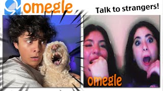 scaring omegle strangers with my DEMON DOG