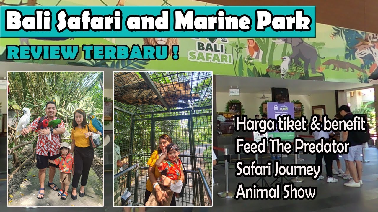 BALI SAFARI AND MARINE PARK REVIEW TERBARU 2023 II FEED THE PREDATOR II ...