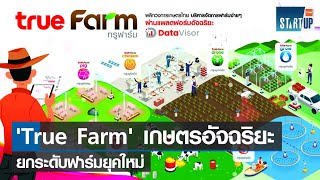 True Farm เทคโนโลยีการเกษตรอัจฉริยะ ยกระดับจัดการฟาร์มยุคใหม่ I TNN Startup I 11-09-65