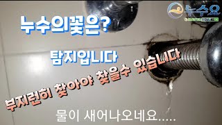 누수탐지공사/원룸 천정에서 물이샙니다. 누수는 쉽게 찾아지지 않습니다. 부지런히 찾고 운도 따라야 합니다