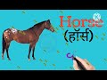 wild animals name in english जंगली जानवरो के नाम अंग्रेजी में wild animals names english u0026 hindi