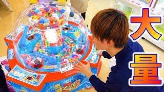 サメやクジラすくい対決1000円クレーンゲーム大量GET！さとちん