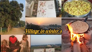 Met with twin baby girl's 💖 | Beauty of village life in writers😩 | Noor Diaries