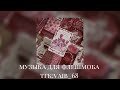 🌹музыка для флешмоба ❤️🌹 всех с днем святого Валентина 💗 2025 год