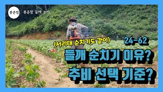 봉춘팜 들깨농사 | 들깨 순치기하는 이유? 추비 선택 기준?