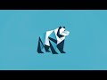 bear analytica introduction