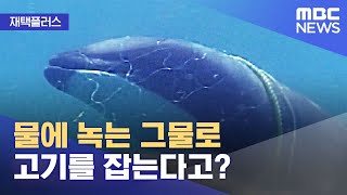 [재택플러스] 물에 녹는 그물로 고기를 잡는다고? (2021.06.22/뉴스투데이/MBC)