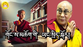 HH.Dalai lama’s speech about his future reincarnation #rumtekkarmaekhenpo