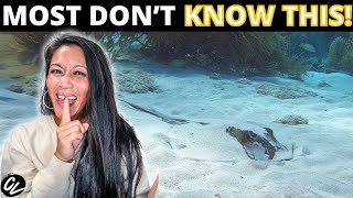 Bonaire Scuba Diving INSIDER SECRETS 🤫 🤿