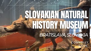Slovakian Natural History Museum | Bratislava | Slovakia | Things To Do In Bratislava