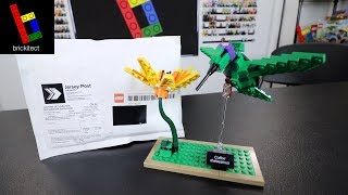 THE SMALLEST LEGO HAUL EVER...AND MORE BIRDS!