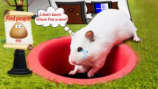 Pou, Where Are You? The Quest To Find Pou's Relatives🐹HAMSTER OBSTACLE COURSE🐹HammyHappyTDC