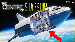 Starship to Mars! What Will the Journey of the SpaceX Ship to the Red Planet Be Like?