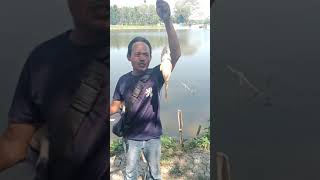 MANCING MANIA WADUK SIMO