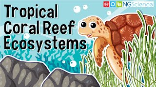 Tropical Coral Reef Ecosystems