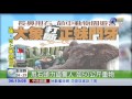 大象長鼻甩石 打斷正妹門牙