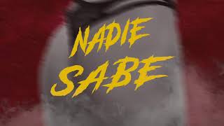 NADIE SABE - IMK (Visualizer)