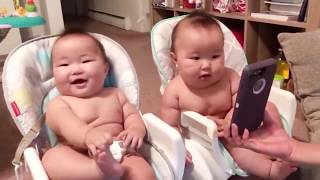 Cute Videos Of Funny twins baby Compilation - Twins Baby playing together Videos