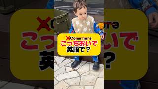 やっぱネイティブの表現よなぁ「こっちおいで」英語で？#英語 #おうち英語 #子ども英語 #国際結婚 #英会話 #shorts