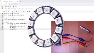 Neopixels with Python and the micro:bit