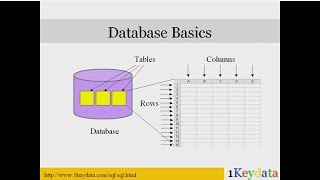 Learn Basic SQL Commands: SELECT, FROM, WHERE, GROUP BY, HAVING, ORDER BY