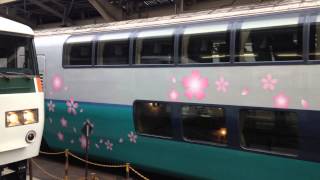 スーパービュー踊り子 東京駅出発