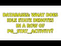 Databases: What does IDLE state denotes in a row of pg_stat_activity?