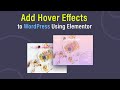 How to Add Hover Effects to WordPress Using Elementor | elementor hover effects