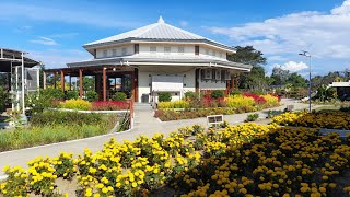 Ina's Farm, Agcawayan Pulo at Barotac Nuevo, Iloilo.  #flowers #farm #countryside