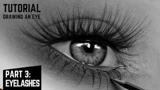 How to draw realistic eyelashes for beginners | step by step tutorial