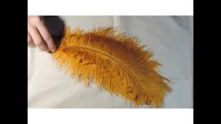 Creating a Multi Feather Curled Plume for Historical Costuming