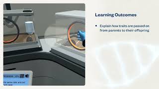 Mendelian Inheritance: From genes to traits | Virtual Lab